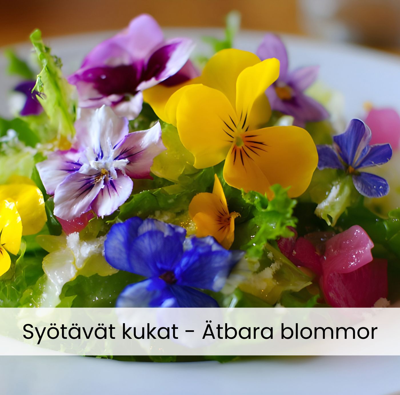 Syötävät kukat